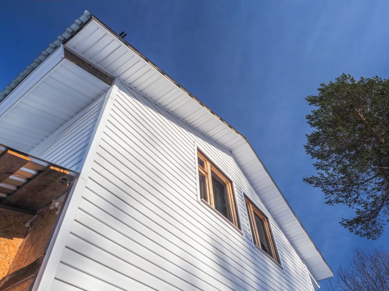 Vinyl Siding Remodel detail
