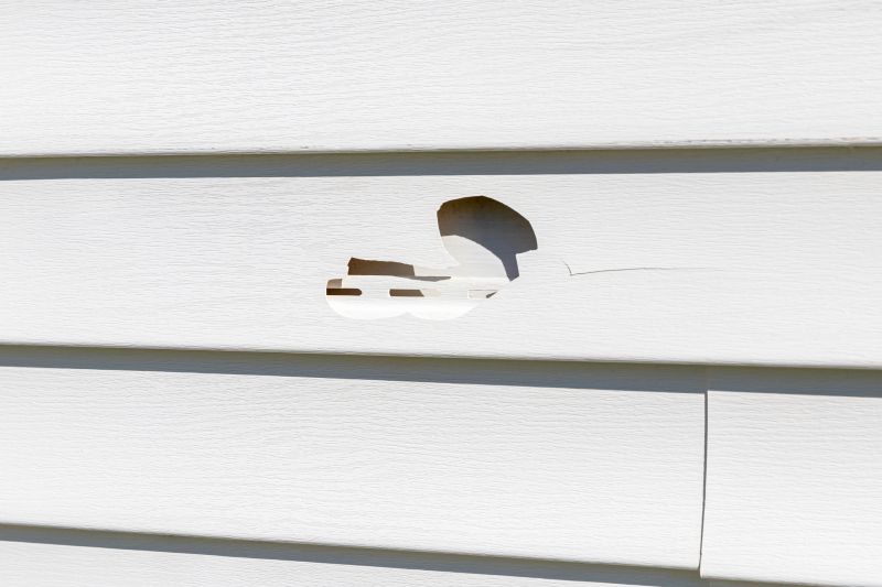 Patch and Repair of Vinyl Siding